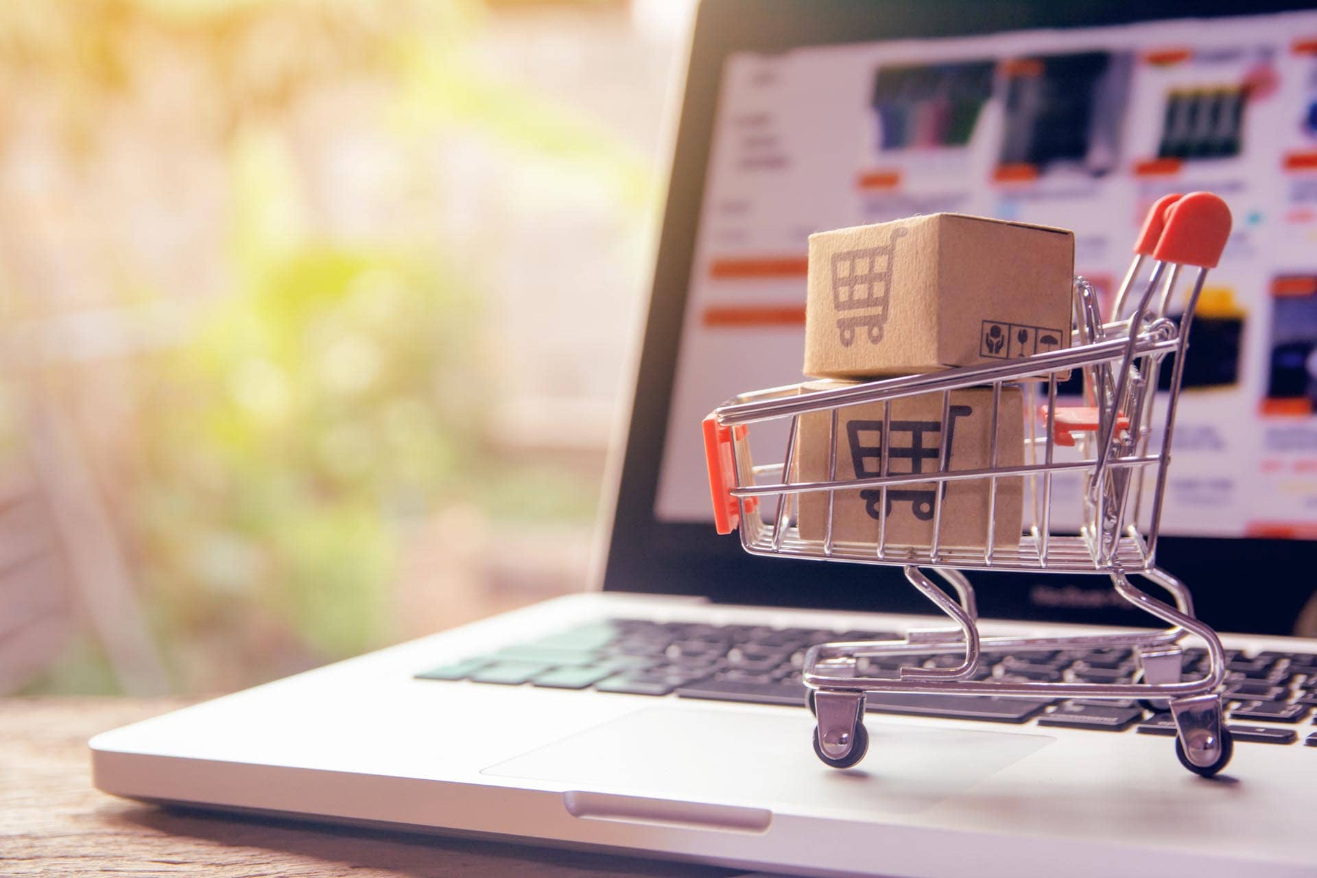 wordpress agentur und onlineshop in der schweiz