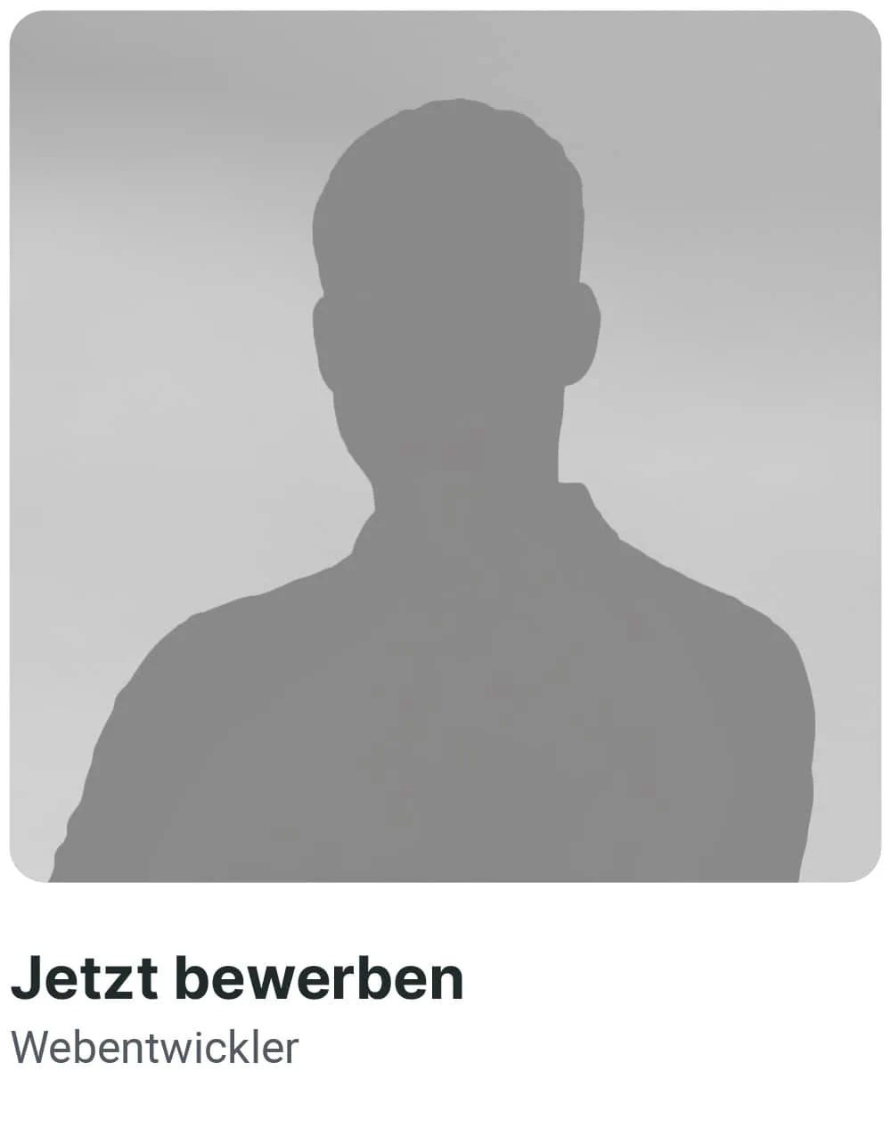 Webentwickler Webentwickler